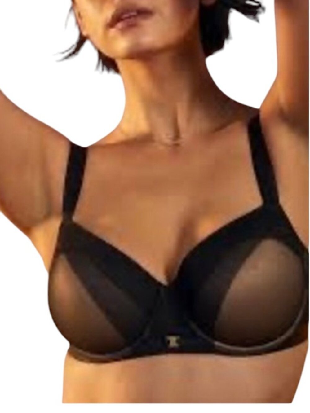 ThirdLove Ombre Mesh Demi Bra Black Sheer Panels, 42D